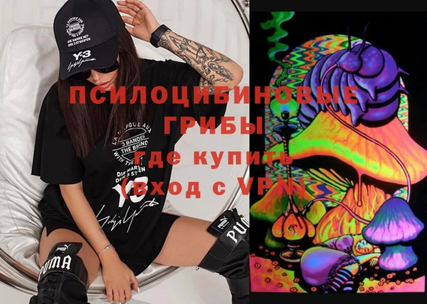 ГАЛЛЮЦИНОГЕННЫЕ ГРИБЫ Балахна
