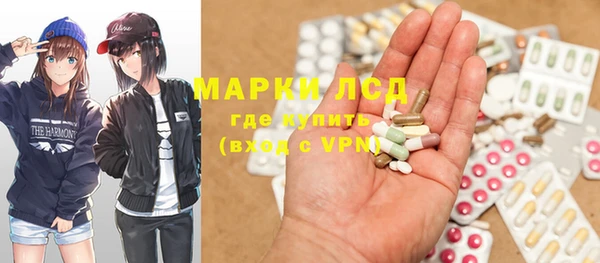 ГАЛЛЮЦИНОГЕННЫЕ ГРИБЫ Балахна