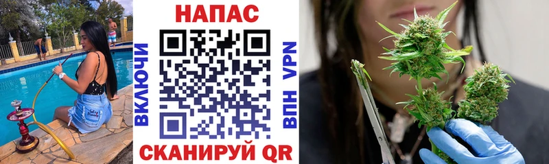 Бошки Шишки ГИДРОПОН  Реутов 